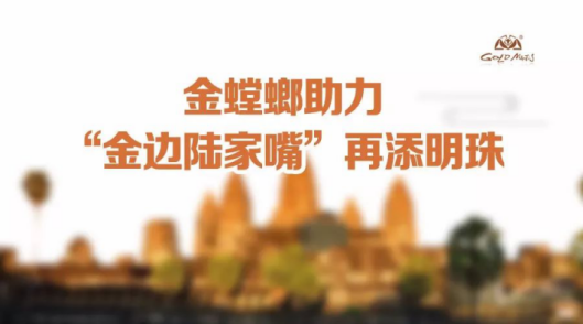 �Ϲ�NG��28(�й���)����Ʒ���������޹�˾
